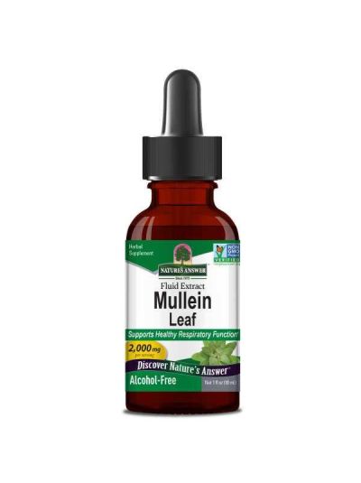 Nature's Answer, Mullein, 2000mg, 30ml